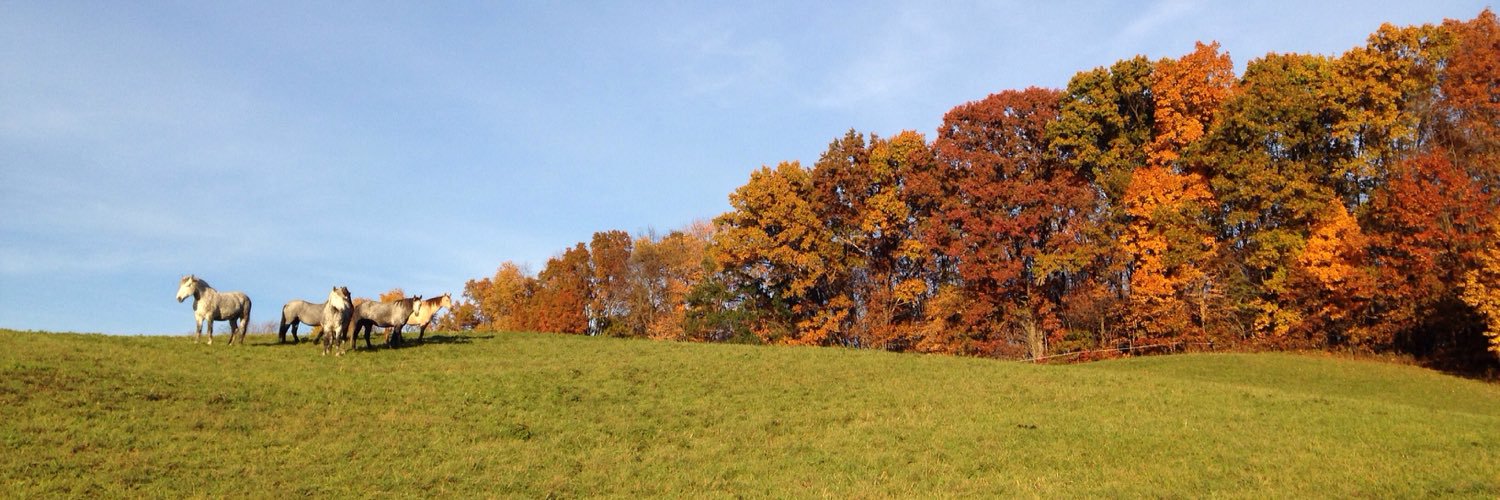 AnnaWagner1's profile banner image