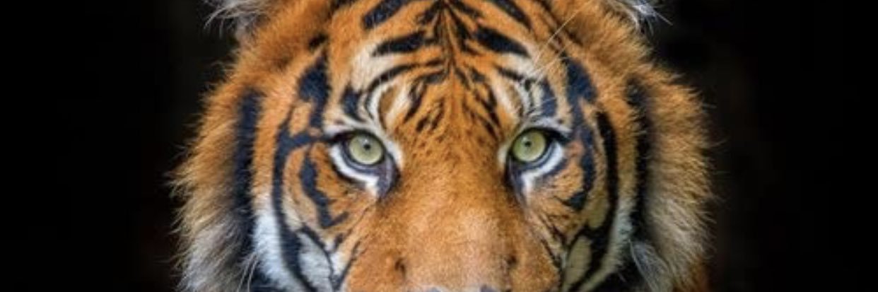 yanidiaz01's profile banner image