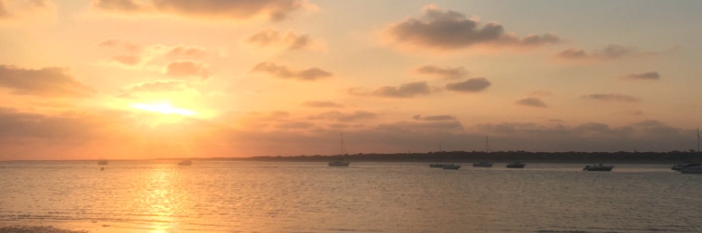 martaurba's profile banner image