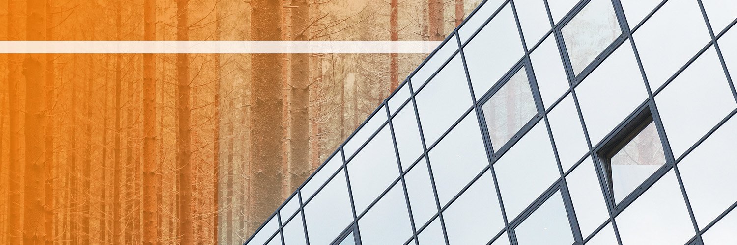 EconiaSL's profile banner image