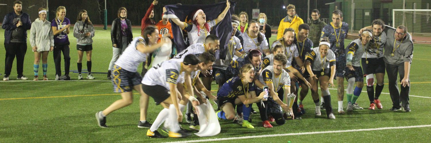 Malaka Vikings QT banner