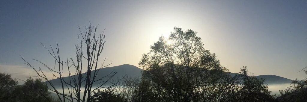 bimopmd's profile banner image