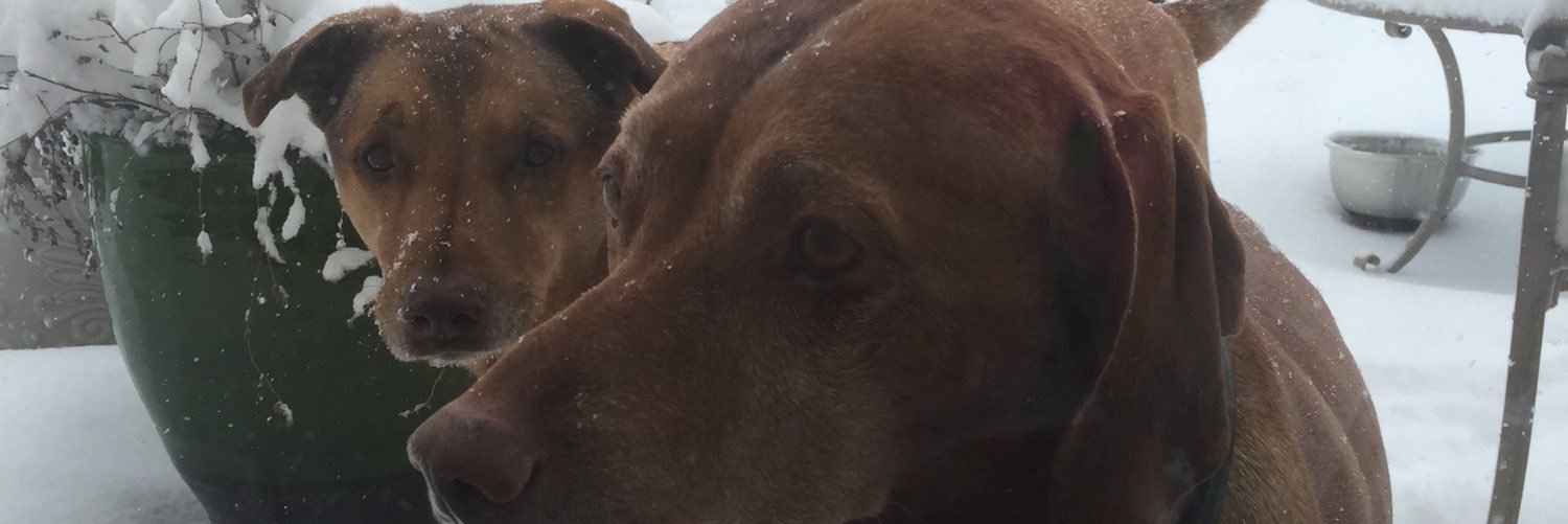 🎤𝓶𝓾͠𝓼𝓲𝓬 🎧 𝓶𝓸𝓶🎶🇺🇸 banner