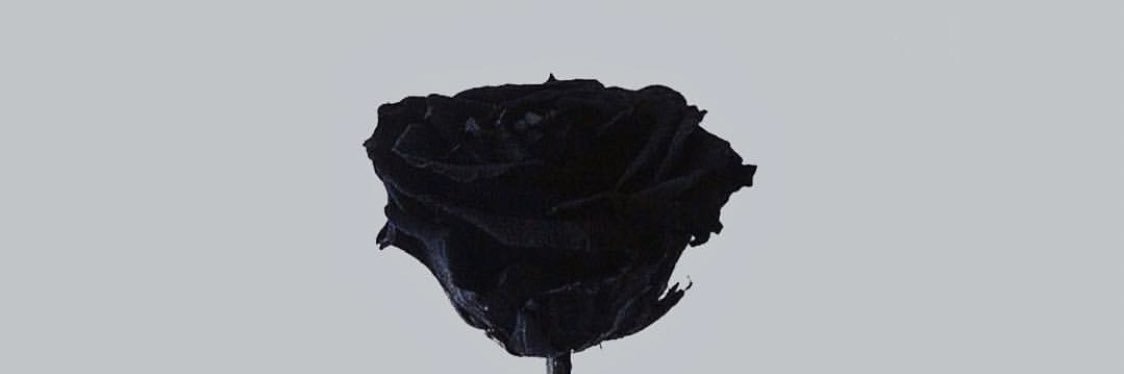_________judd's profile banner image