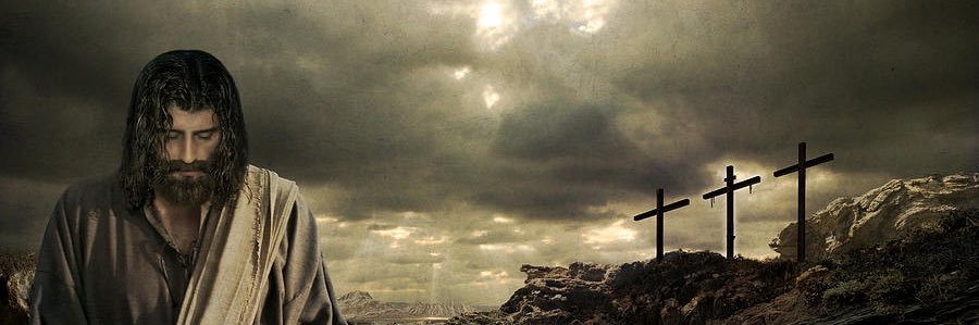 ohm_ntw's profile banner image