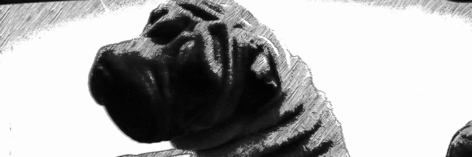 AnaCarrS's profile banner image
