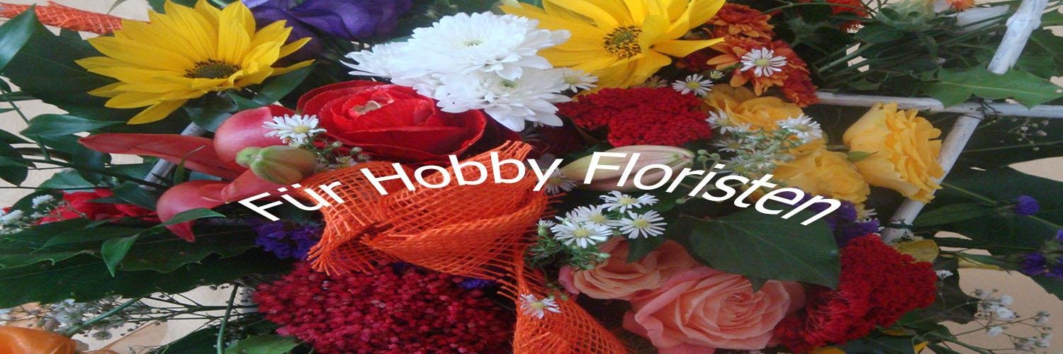 HeikeVoss's profile banner image