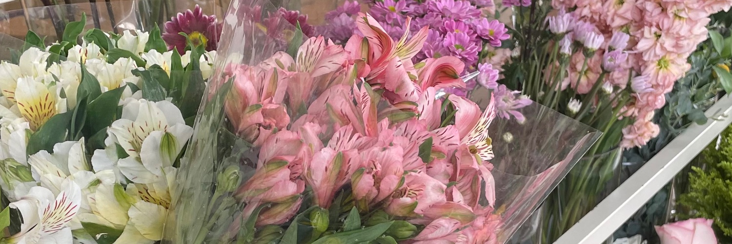 Martamariaw's profile banner image