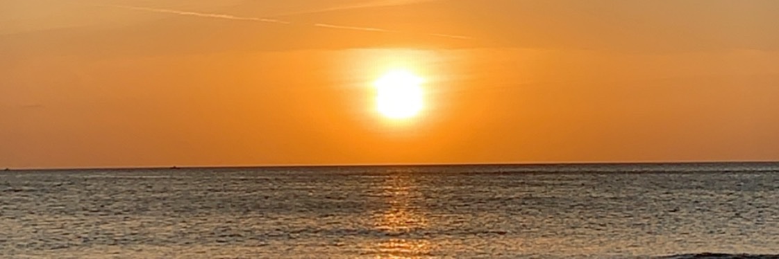 lookingforjay's profile banner image