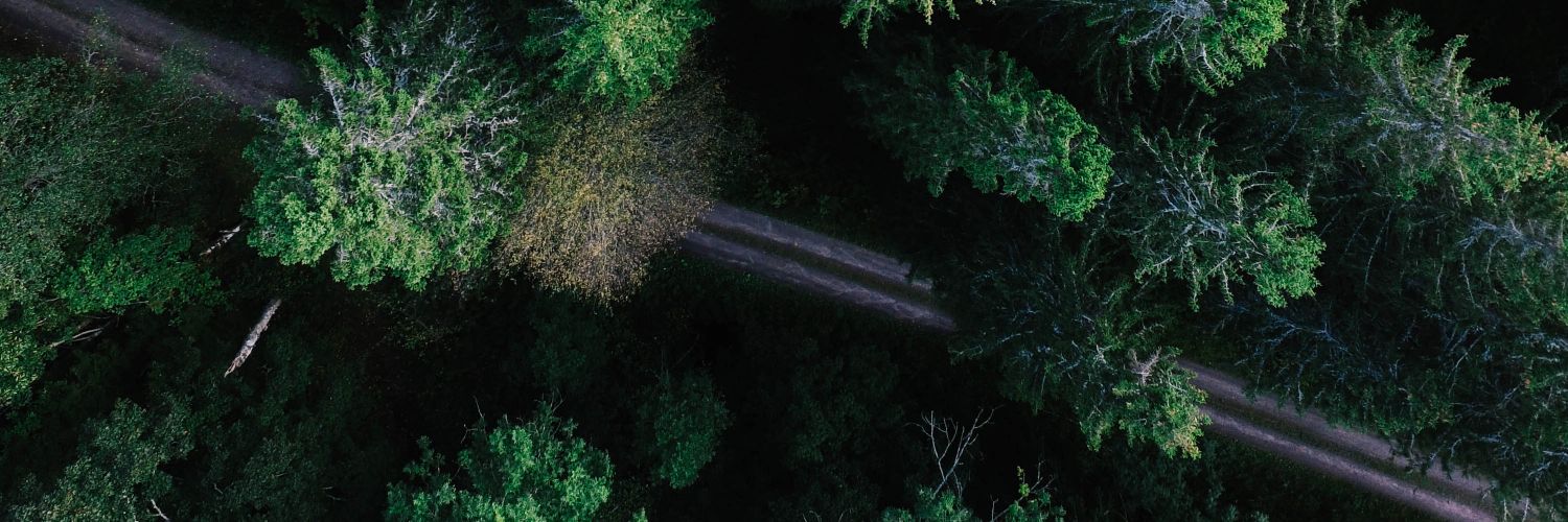 beratf_'s profile banner image