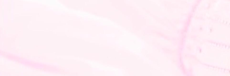 cinderellalore's profile banner image
