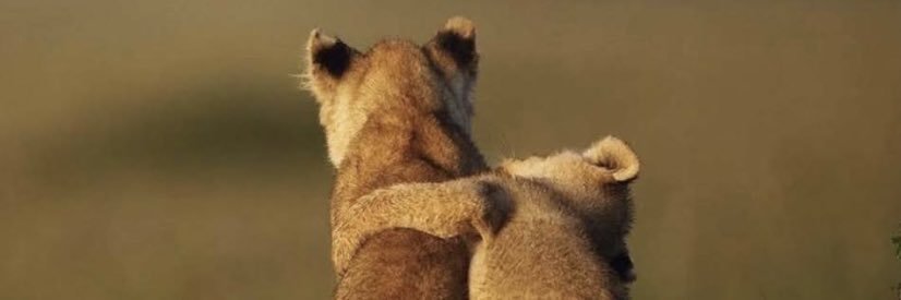 drewbdoudou's profile banner image
