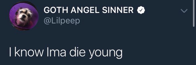 you know the vibes🐊 banner