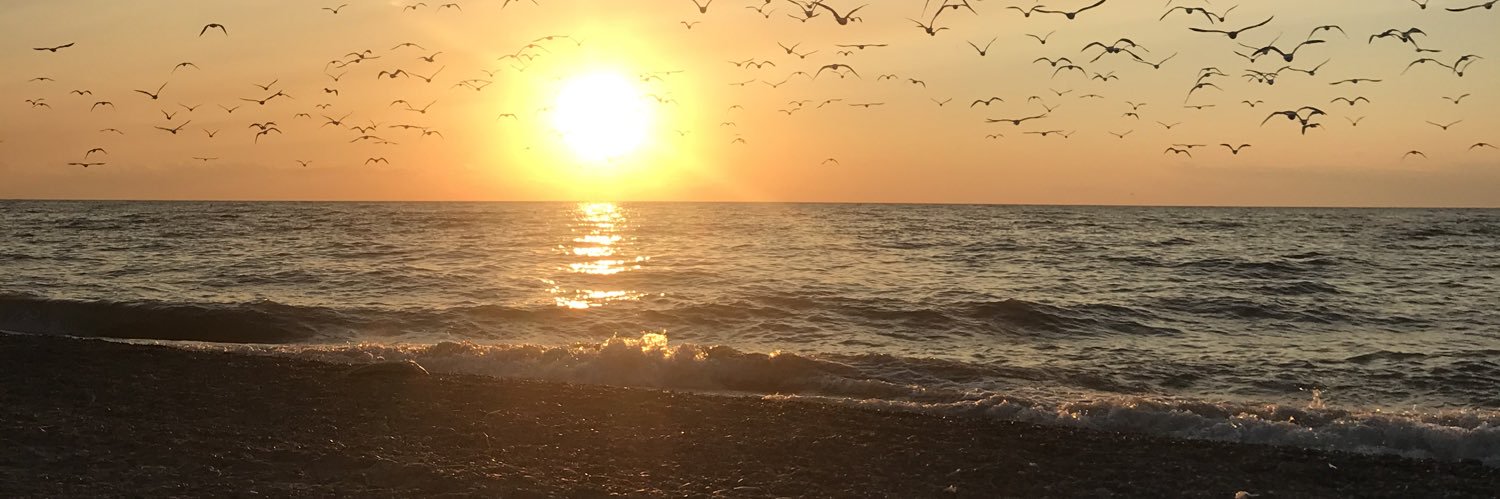 MattRector71's profile banner image