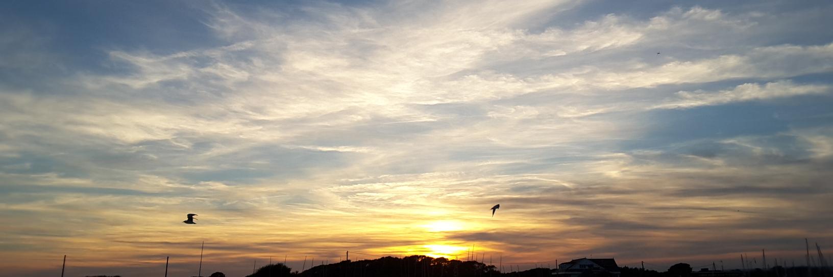 Dr Alice Wickersham banner