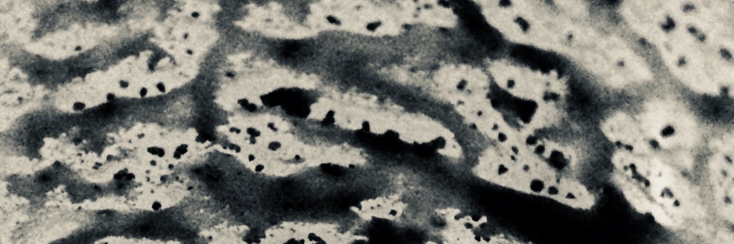 fairvsal's profile banner image