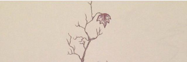 friesmagee's profile banner image
