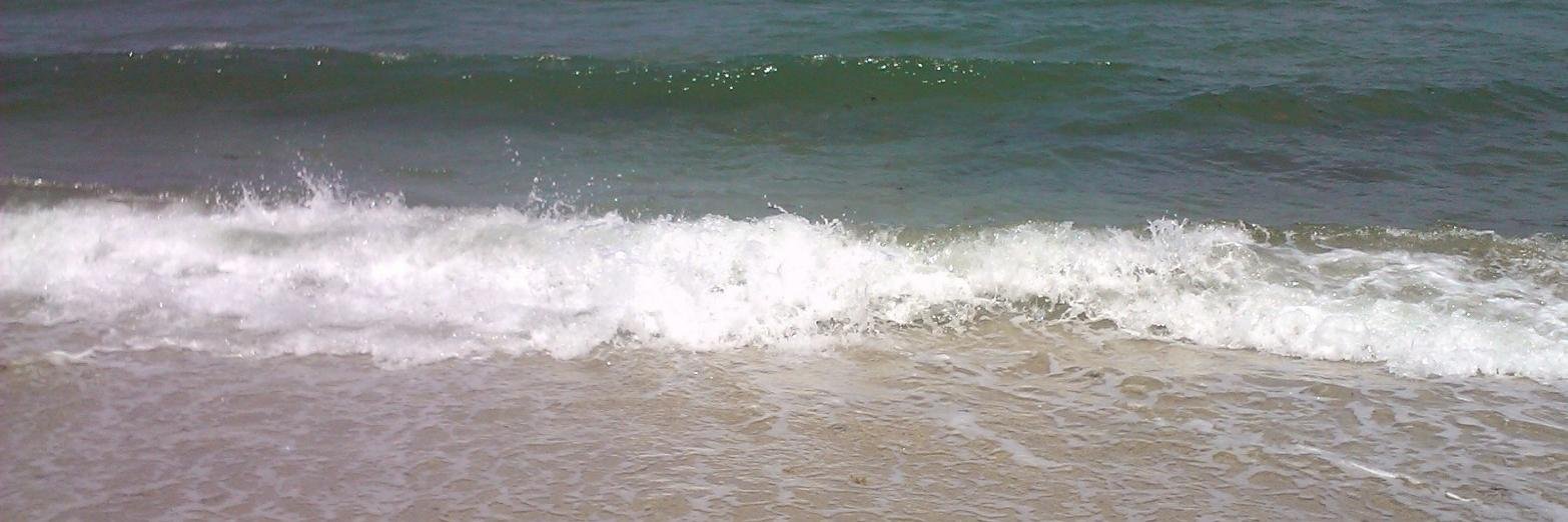 MarianlyPrimmer's profile banner image