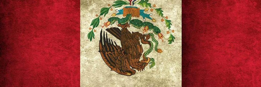 Defensa Civil  MX banner