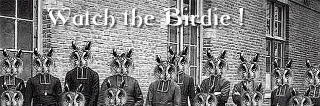 cuetodav's profile banner image