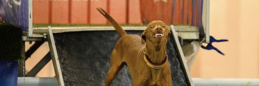 dooger94's profile banner image