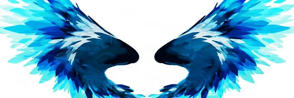 mist_ses's profile banner image