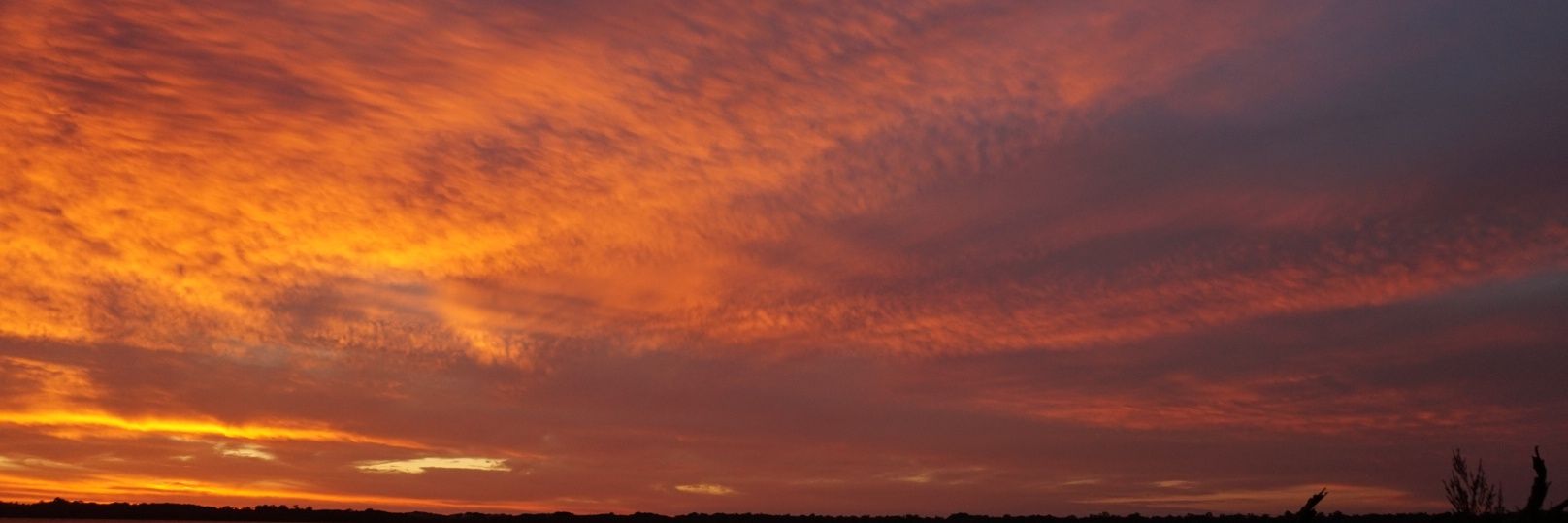 llcord's profile banner image
