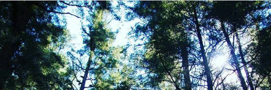 Fansdeaceves's profile banner image