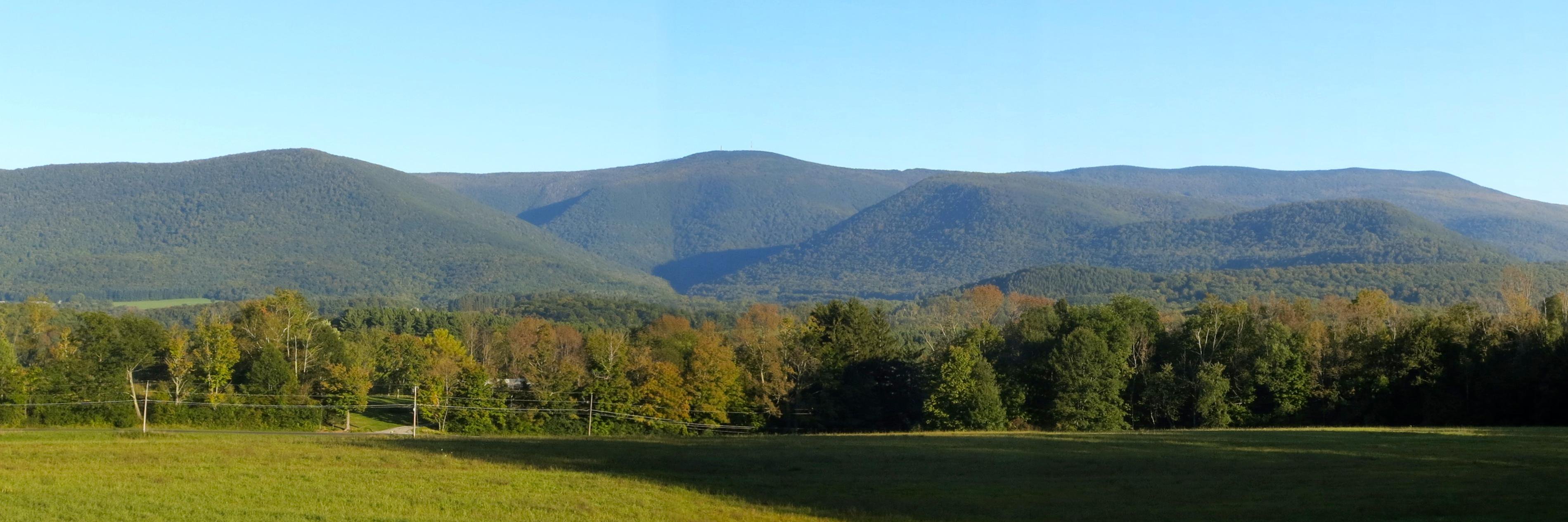 Lauren Sinnenberg, MD banner