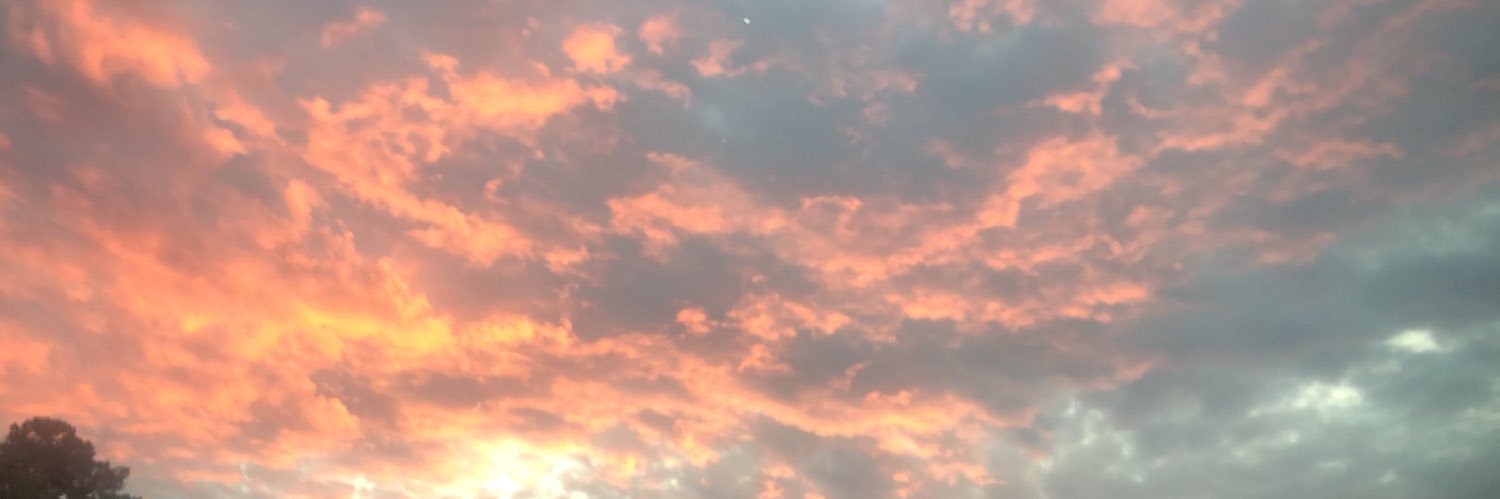 allisoneharris's profile banner image