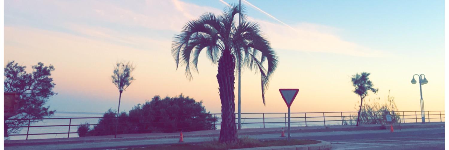 ToniLynn2's profile banner image