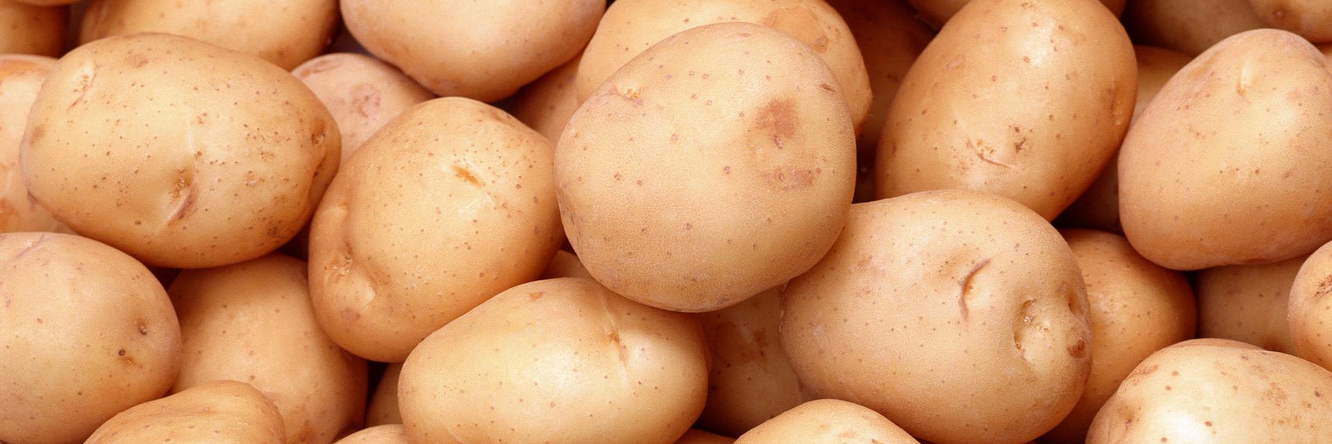 potatomailing's profile banner image
