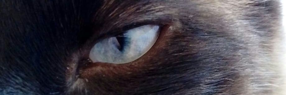 mcl010's profile banner image