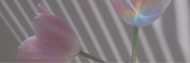 yui06301's profile banner image
