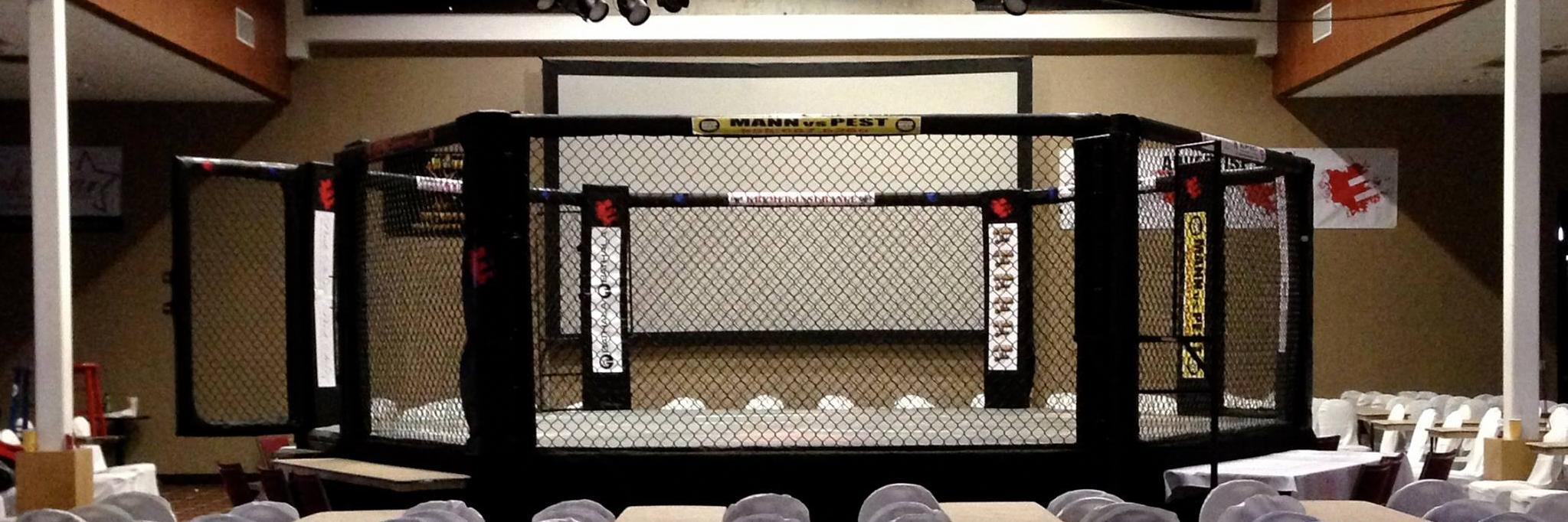 EpicFightingMMA's profile banner image