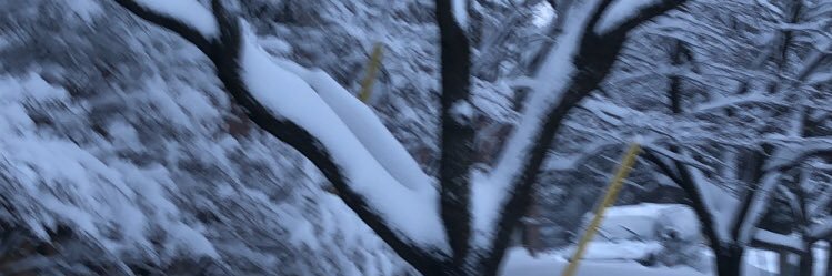 Ghotteway's profile banner image