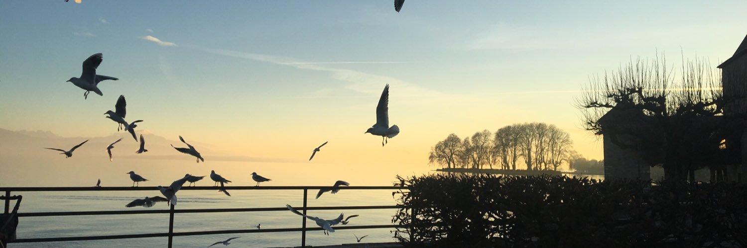 julialin_'s profile banner image
