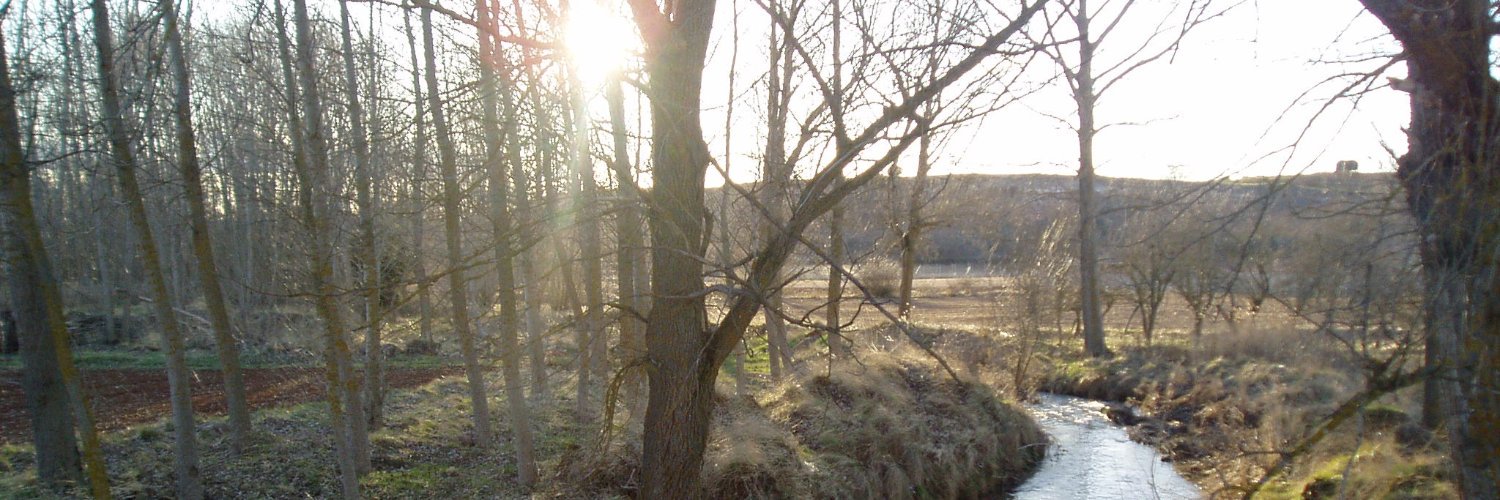 F. Javier Caballero banner