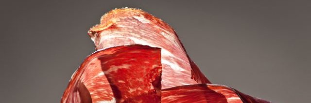 CECINAS NIETO banner