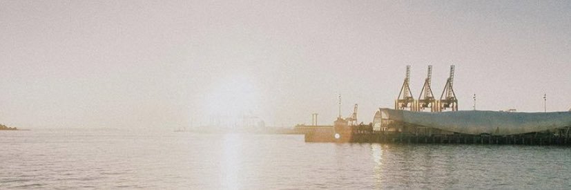 lauranye_'s profile banner image