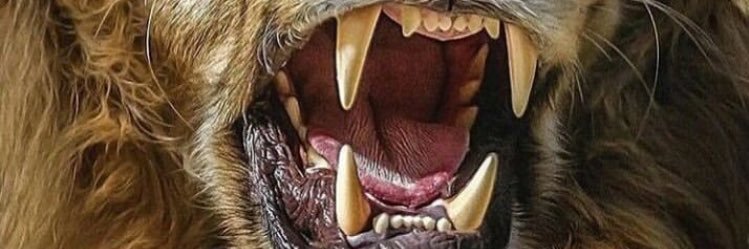 a_zdn88's profile banner image