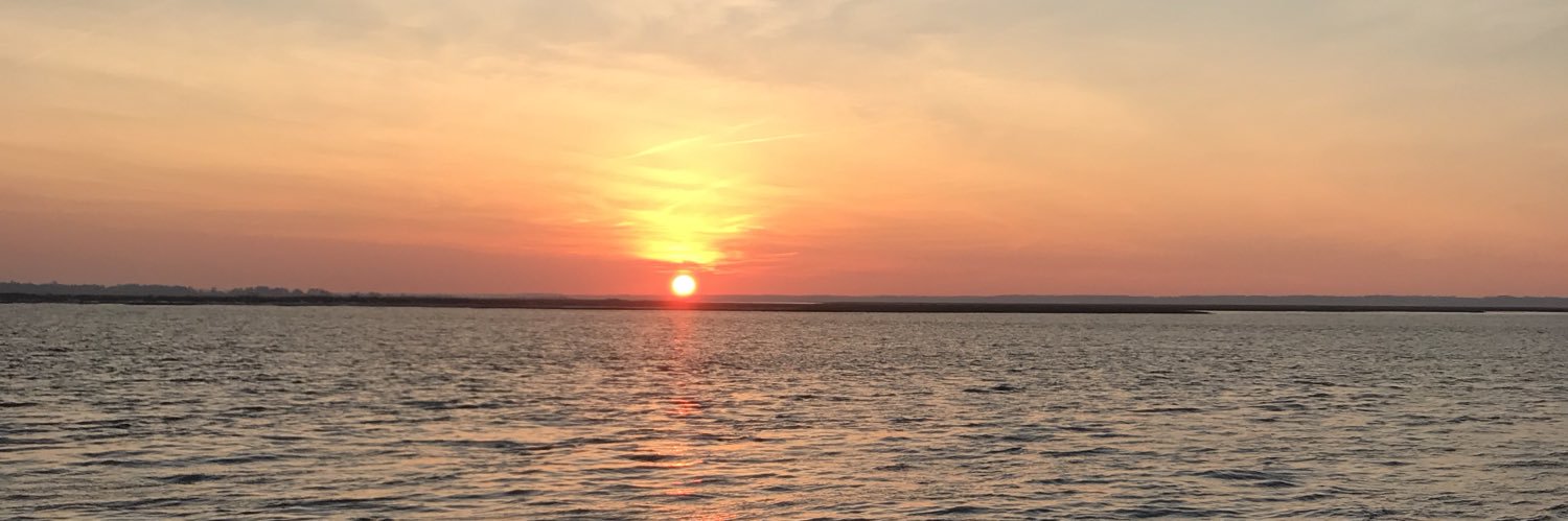 BuzzinBrooklyn's profile banner image