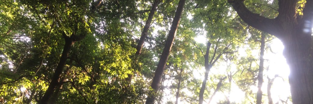 amerui_minaduki's profile banner image