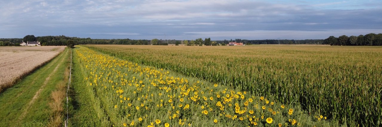 Frédéric THOMAS banner