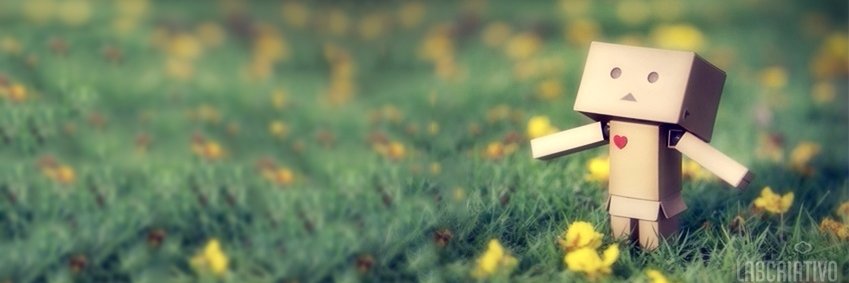 pedro_janisch's profile banner image