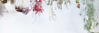 5___sky's profile banner image