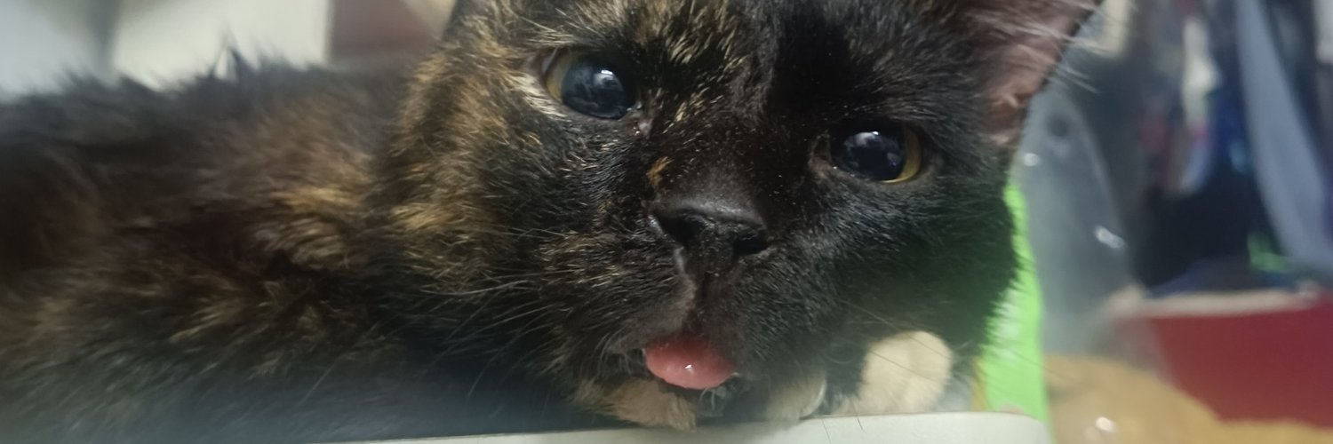 IiOmemee's profile banner image
