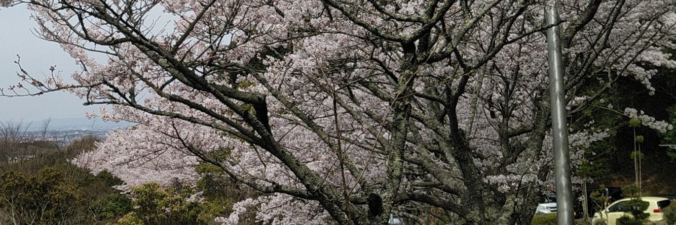 binko324's profile banner image