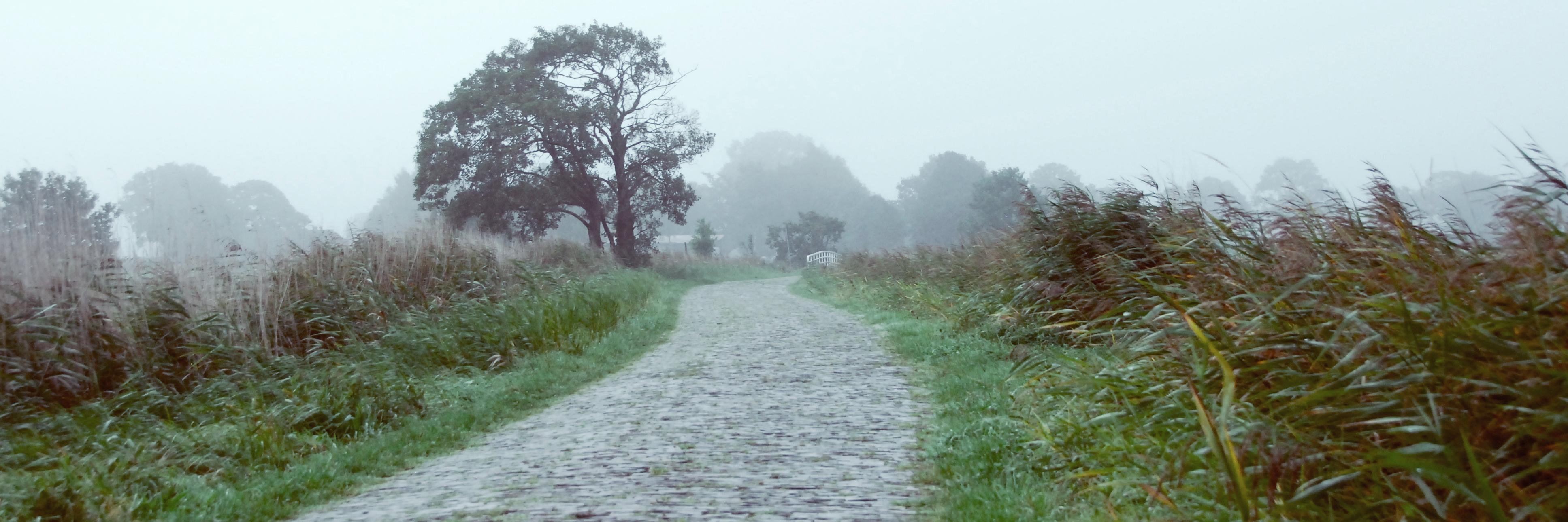 lenajudick's profile banner image
