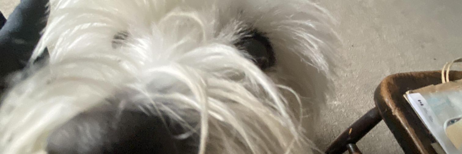 thatmathsnerd's profile banner image
